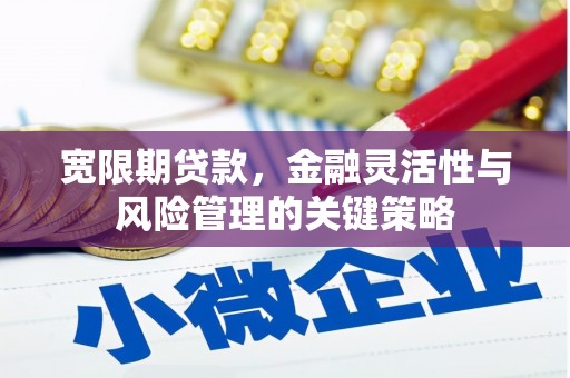 射阳宽限期贷款，金融灵活性与风险管理的关键策略