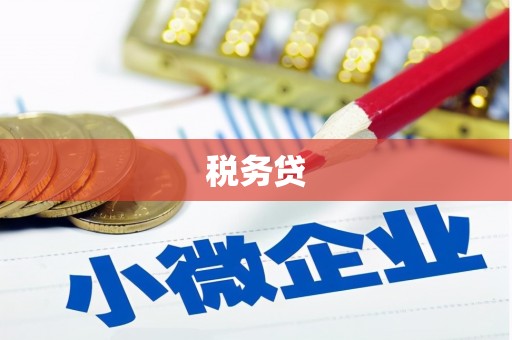 射阳税务贷