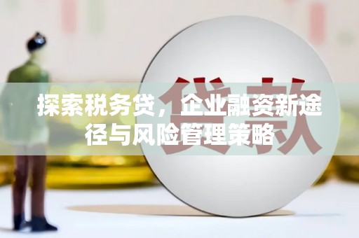 射阳探索税务贷，企业融资新途径与风险管理策略