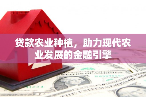 射阳贷款农业种植，助力现代农业发展的金融引擎
