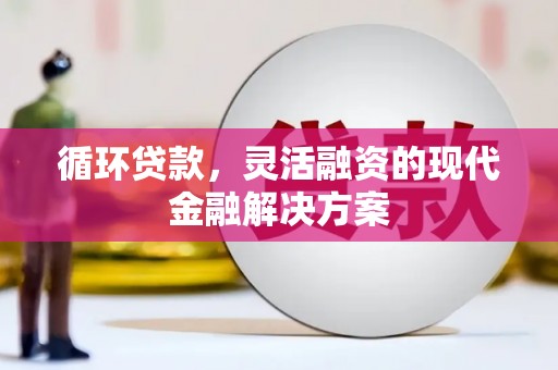 射阳循环贷款，灵活融资的现代金融解决方案