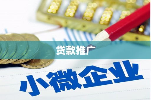 射阳贷款推广