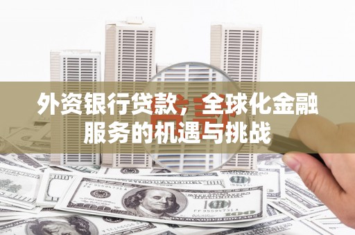 射阳外资银行贷款，全球化金融服务的机遇与挑战