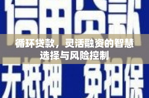 射阳循环贷款，灵活融资的智慧选择与风险控制