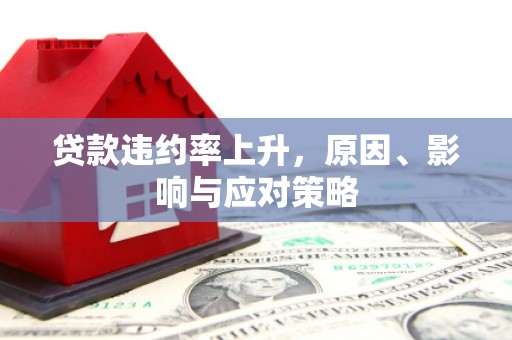 射阳贷款违约率上升，原因、影响与应对策略