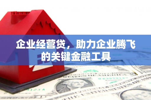 射阳企业经营贷，助力企业腾飞的关键金融工具