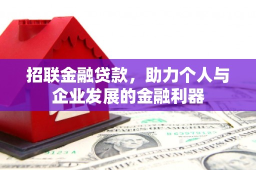 射阳招联金融贷款，助力个人与企业发展的金融利器