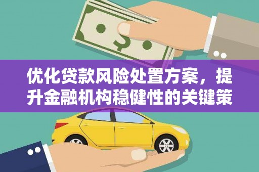 射阳优化贷款风险处置方案，提升金融机构稳健性的关键策略