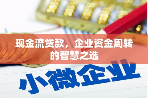 射阳现金流贷款，企业资金周转的智慧之选