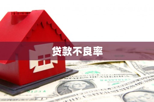 射阳贷款不良率