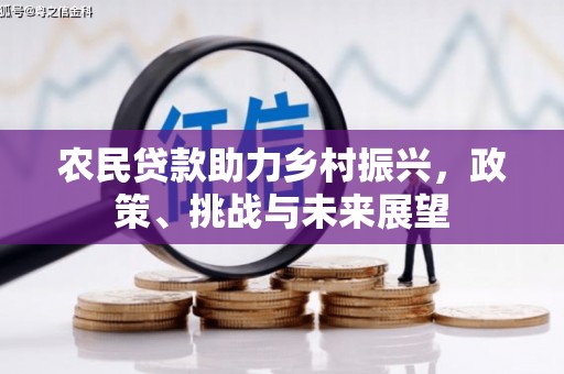 射阳农民贷款助力乡村振兴，政策、挑战与未来展望