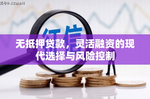 射阳无抵押贷款，灵活融资的现代选择与风险控制