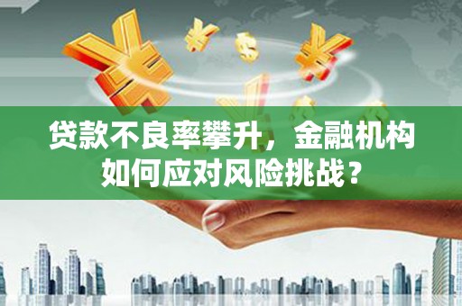 射阳贷款不良率攀升，金融机构如何应对风险挑战？