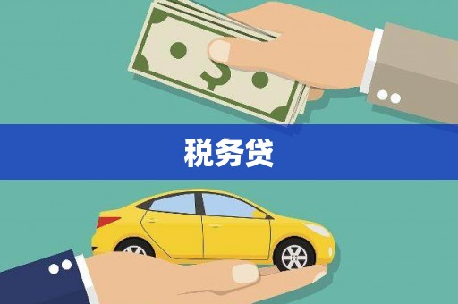 射阳税务贷