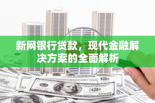 射阳新网银行贷款，现代金融解决方案的全面解析