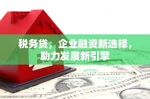 射阳税务贷，企业融资新选择，助力发展新引擎