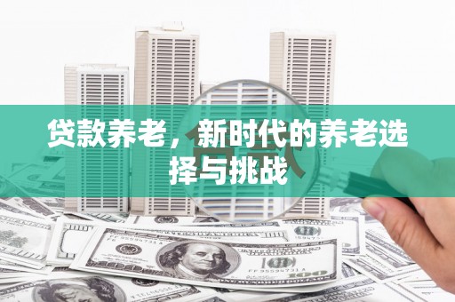 射阳贷款养老，新时代的养老选择与挑战
