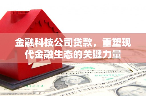 射阳金融科技公司贷款，重塑现代金融生态的关键力量