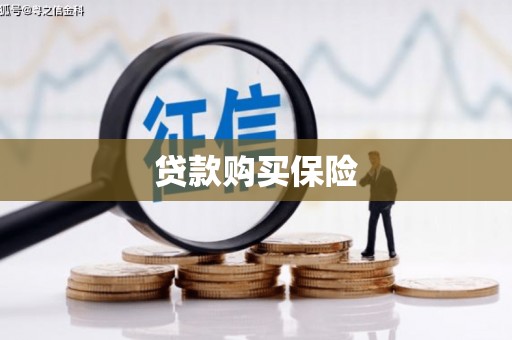 射阳贷款购买保险