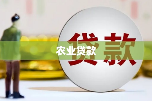射阳农业贷款