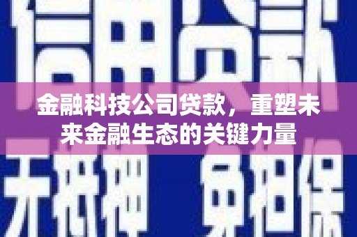 射阳金融科技公司贷款，重塑未来金融生态的关键力量