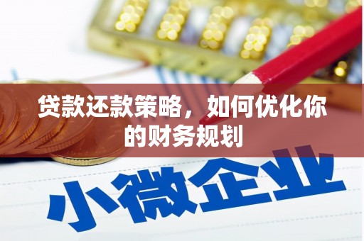 射阳贷款还款策略，如何优化你的财务规划