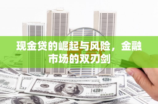 射阳现金贷的崛起与风险，金融市场的双刃剑