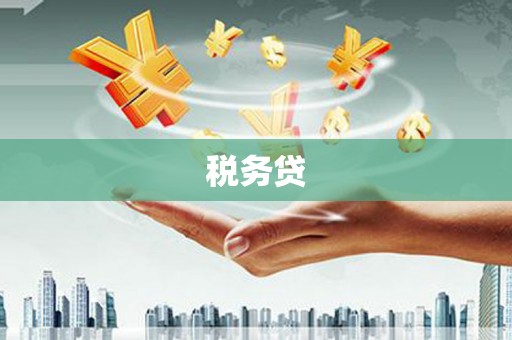 射阳税务贷