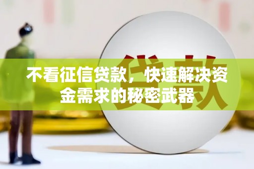射阳不看征信贷款，快速解决资金需求的秘密武器