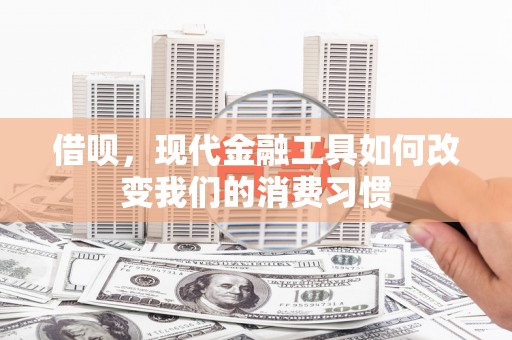 射阳借呗，现代金融工具如何改变我们的消费习惯