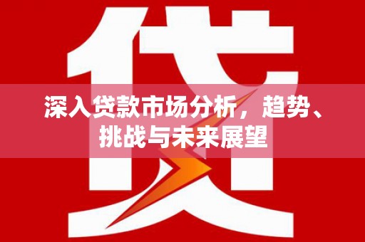 射阳深入贷款市场分析，趋势、挑战与未来展望