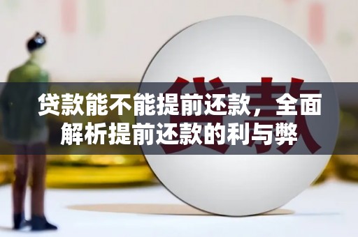 射阳贷款能不能提前还款，全面解析提前还款的利与弊