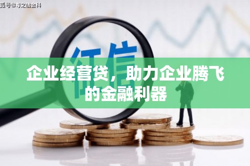 射阳企业经营贷，助力企业腾飞的金融利器
