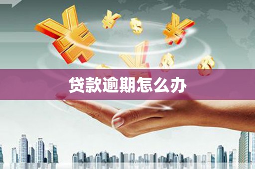 射阳贷款逾期怎么办