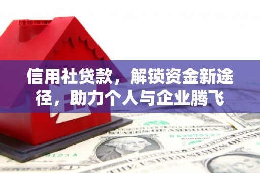 射阳信用社贷款，解锁资金新途径，助力个人与企业腾飞
