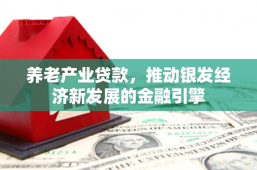 射阳养老产业贷款，推动银发经济新发展的金融引擎
