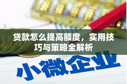 射阳贷款怎么提高额度，实用技巧与策略全解析