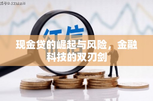 射阳现金贷的崛起与风险，金融科技的双刃剑