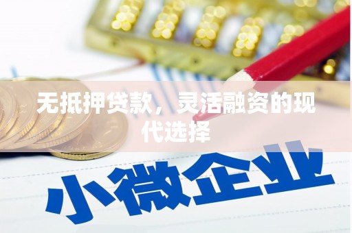 射阳无抵押贷款，灵活融资的现代选择
