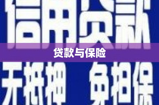 射阳贷款与保险