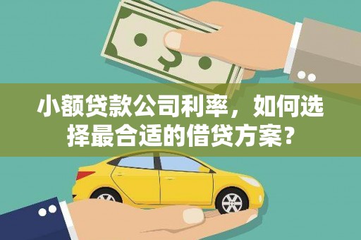 射阳小额贷款公司利率，如何选择最合适的借贷方案？