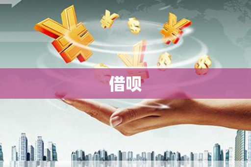 射阳借呗