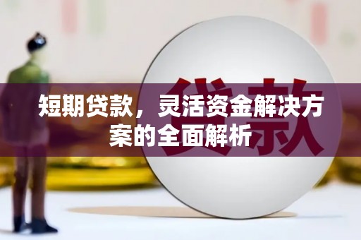 射阳短期贷款，灵活资金解决方案的全面解析