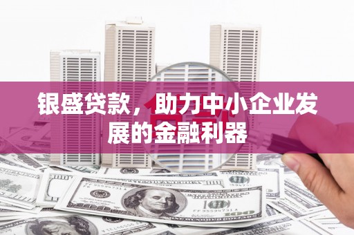 射阳银盛贷款，助力中小企业发展的金融利器