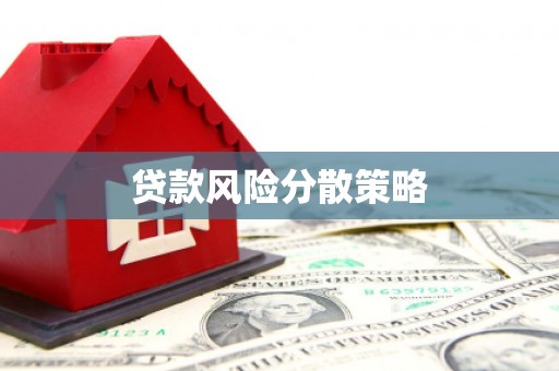射阳贷款风险分散策略
