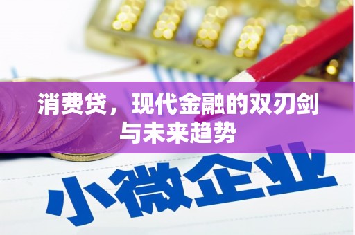 射阳消费贷，现代金融的双刃剑与未来趋势