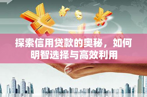 射阳探索信用贷款的奥秘，如何明智选择与高效利用