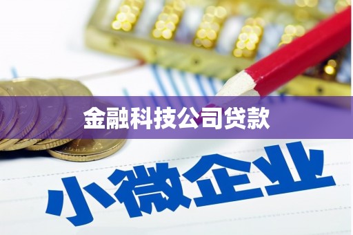 射阳金融科技公司贷款