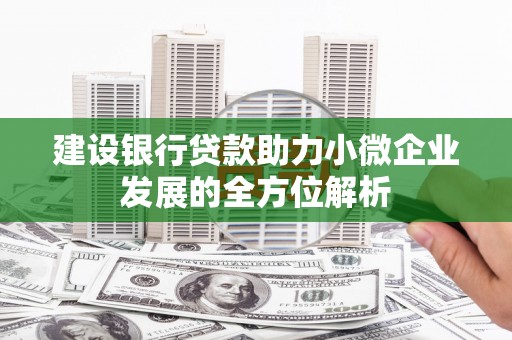 射阳建设银行贷款助力小微企业发展的全方位解析
