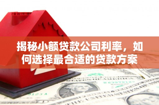 射阳揭秘小额贷款公司利率，如何选择最合适的贷款方案